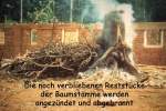 bild19.jpg --- erstellt mit  - www.abbe-felix.de